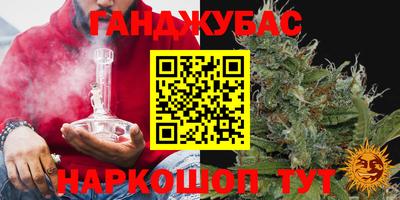 прущие грибы Будённовск