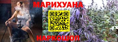 прущие грибы Будённовск