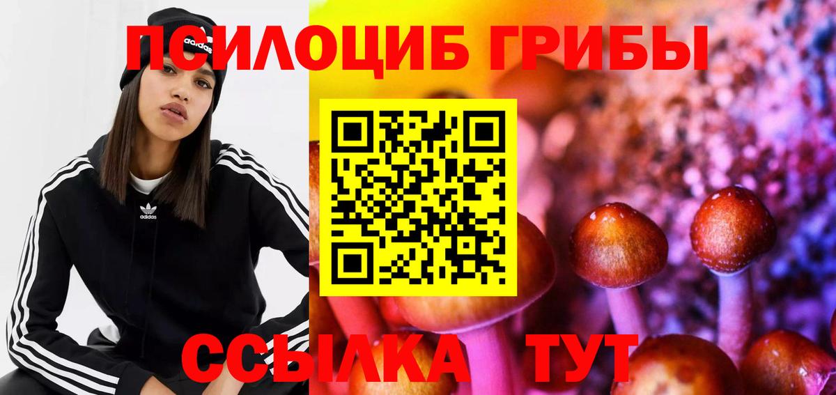 Галлюциногенные грибы GOLDEN TEACHER  Вход с VPN  Фрязино 